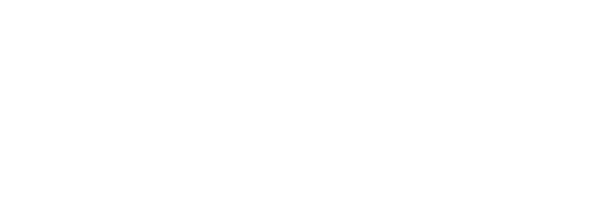 Turbo Partners