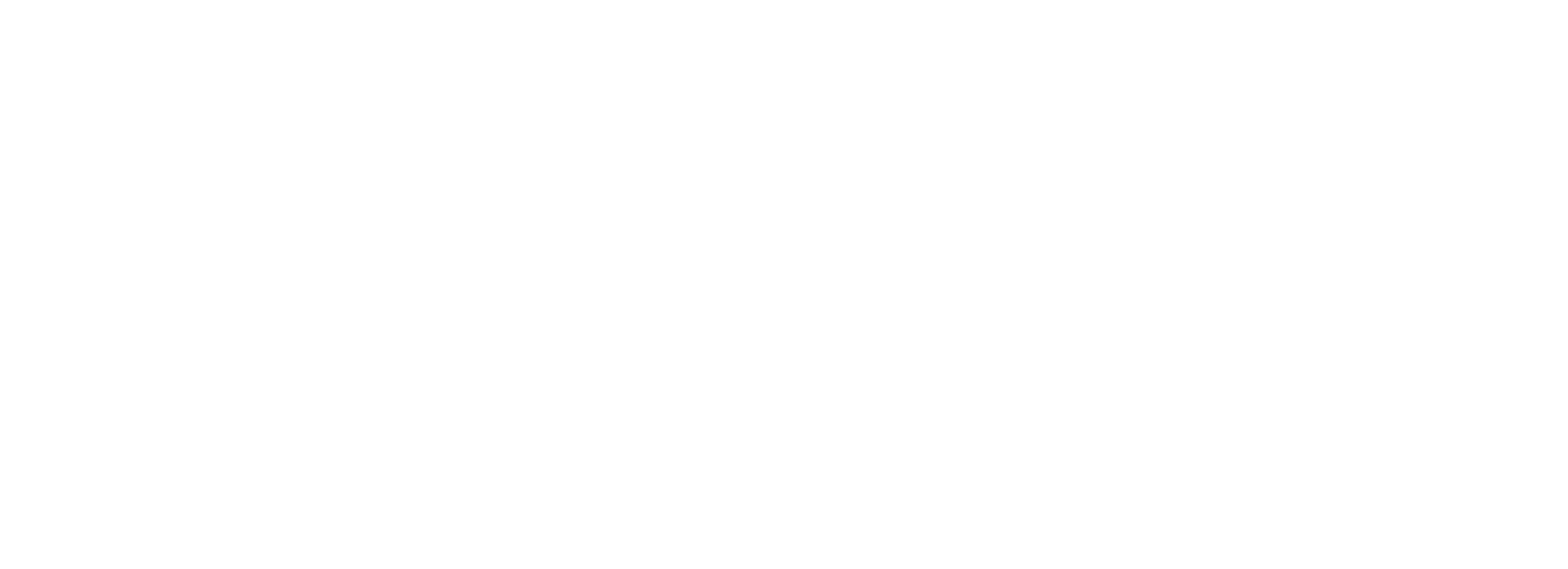 Turbo Partners